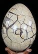 Huge, Septarian Dragon Egg Geode - Crystal Filled #50826-3